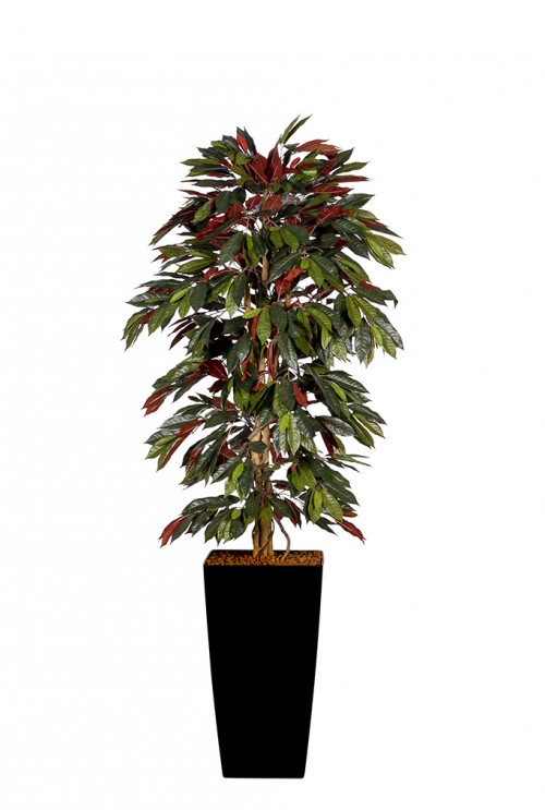 Kunstplant Capensia Kunstplant Capensia