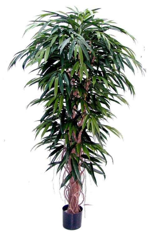 Kunstplant Longifolia Liana Kunstplant Longifolia Liana
