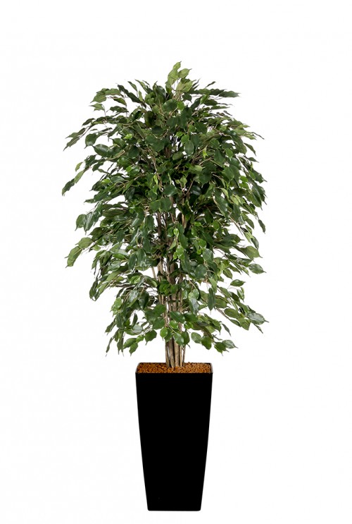 Kunstplant Ficus Exotica DeLuxe Kunstplant Ficus Exotica DeLuxe