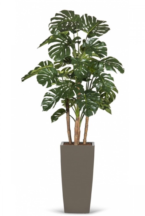 Kunstplant Monstera deluxe Kunstplant Monstera deluxe