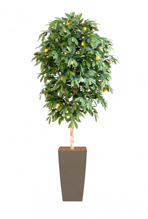 Kunstboom Sinaasappelboom de luxe Kunstboom Sinaasappelboom de luxe