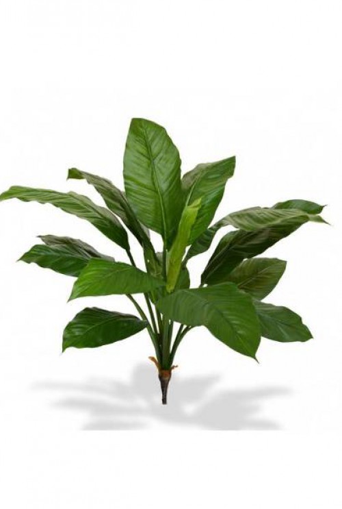 Spathiphyllum kunstplant 80cm Spathiphyllum kunstplant 80cm