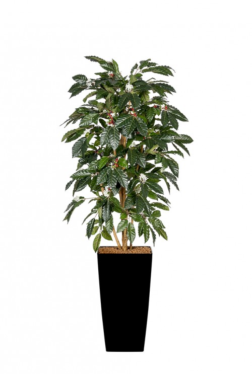 Kunstplant Koffieboom met bloem en vrucht Kunstplant Koffieboom met bloem en vrucht