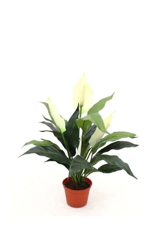 Spathiphyllum kunstplant 50cm Spathiphyllum kunstplant 50cm