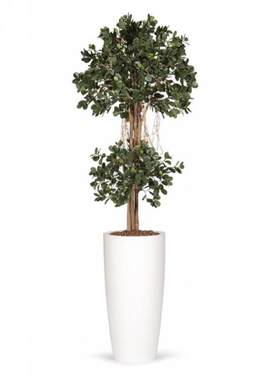 Kunstplant Ficus Panda Kunstplant Ficus Panda