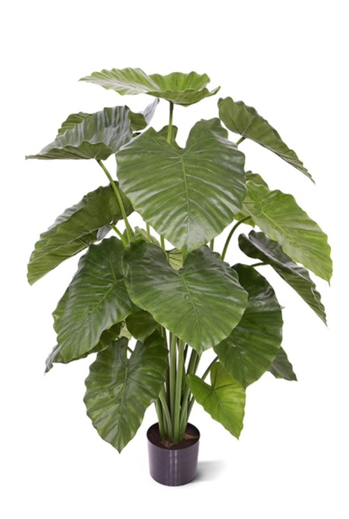 Alocasia Calidora kunstplant 115cm