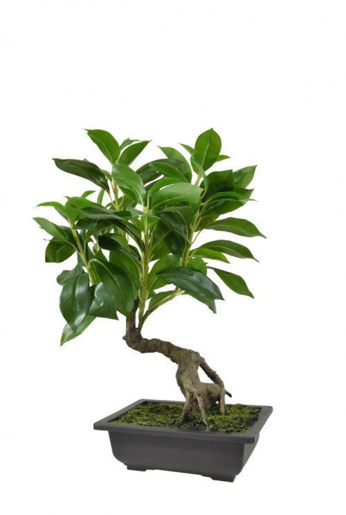 Ficus kunst Bonsai 50 cm in schaal
