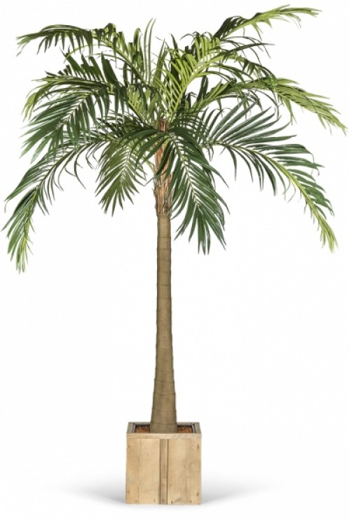 Kunstpalm Majesty x10 Kunstpalm Majesty x10