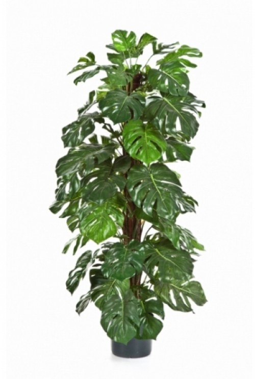 Kunstplant Monstera Kunstplant Monstera