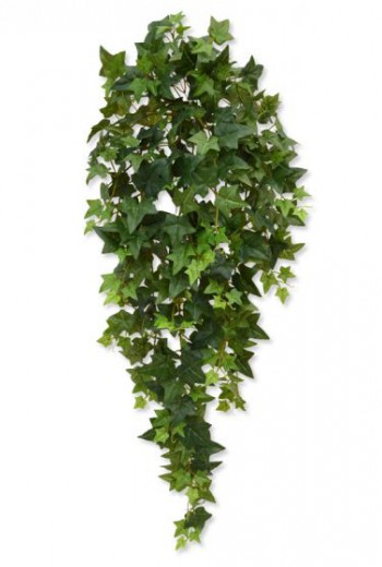 Hedera hangplant 100 cm groen