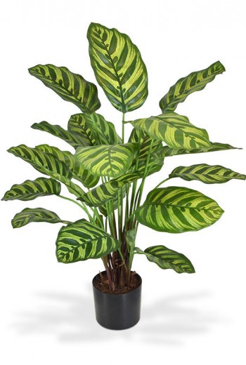 Calathea Makoyana kunstplant 60 cm Calathea Makoyana kunstplant 60 cm