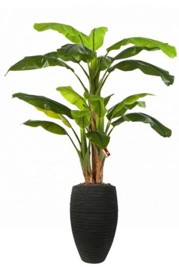 Kunstplant bananenboom x3