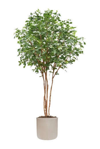 Beuken deluxe kunstboom 350cm Beuken deluxe kunstboom 350cm