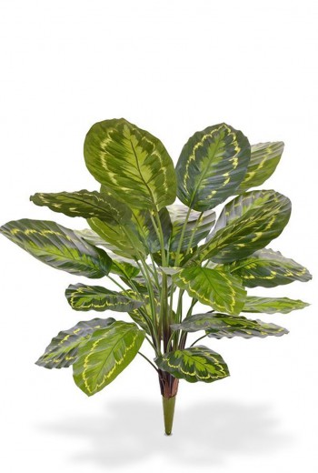 Calathea Roseopicta kunstplant 65 cm boeket