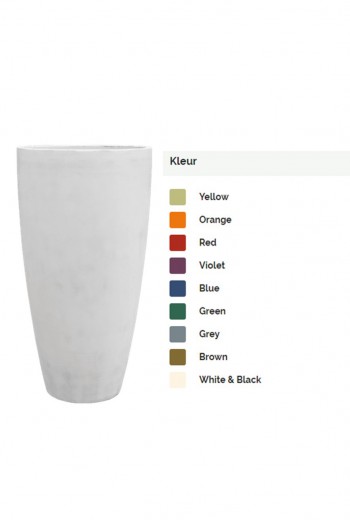 Baq Colour Me Regular Baq Colour Me Regular