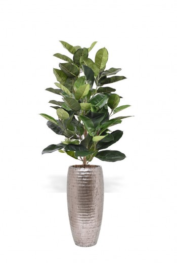 Kunstplant Elastica Robusta Kunstplant Elastica Robusta