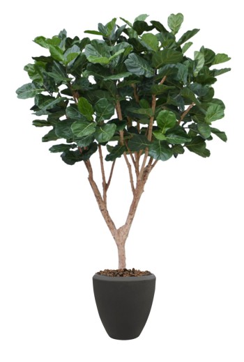Ficus Lyrata XL kunstboom Deluxe