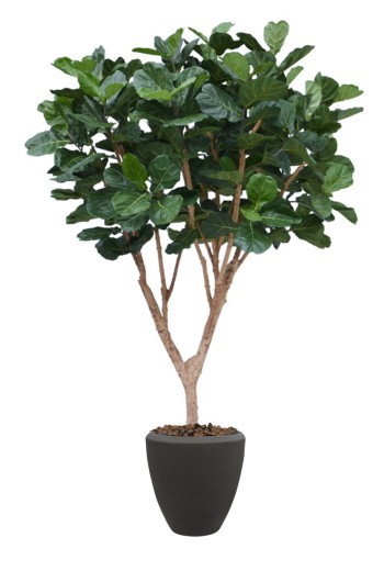 Ficus Lyrata XL kunstboom Deluxe Ficus Lyrata XL kunstboom Deluxe