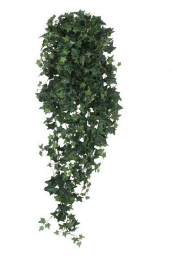 Hedera 120cm groen