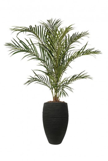 Areca kunstpalm Areca kunstpalm