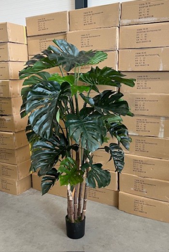 Kunst Monstera promo 175cm