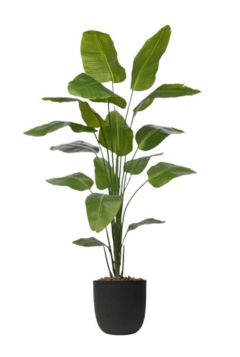 Strelitzia Nicolai kunstplant Strelitzia Nicolai kunstplant