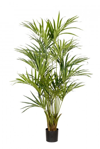 Kentia kunstpalm XL Kentia kunstpalm XL