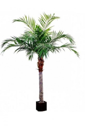 Kunstpalm Majesty Giant 350 cm Kunstpalm Majesty Giant 350 cm