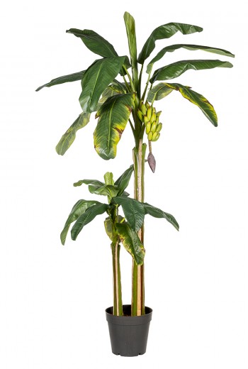 Kunstplant bananenboom Kunstplant bananenboom