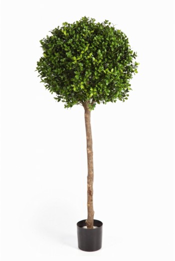 Kunstplant Buxus bol boom op stam Kunstplant Buxus bol boom op stam