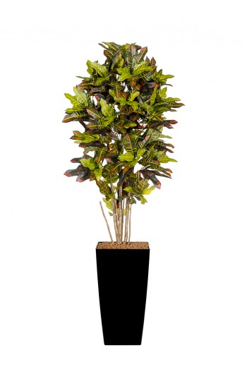 Kunstplant Croton Tree Kunstplant Croton Tree