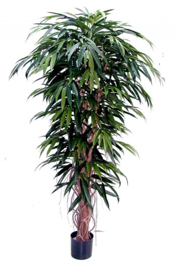 Kunstplant Longifolia Liana Kunstplant Longifolia Liana