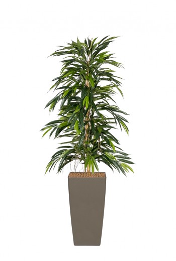 Kunstplant Longifolia de Luxe Kunstplant Longifolia de Luxe