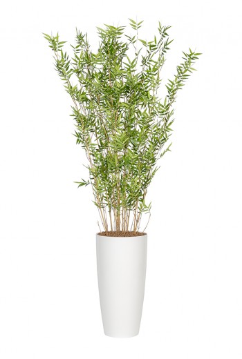 Kunstplant Bamboe Oriental Kunstplant Bamboe Oriental