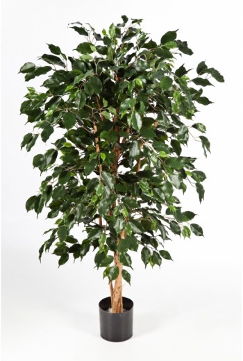 Kunstplant Ficus Nitida Exotica Kunstplant Ficus Nitida Exotica