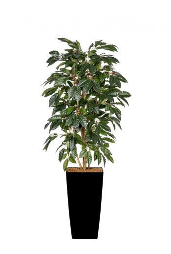 Kunstplant Koffieboom met bloem en vrucht Kunstplant Koffieboom met bloem en vrucht