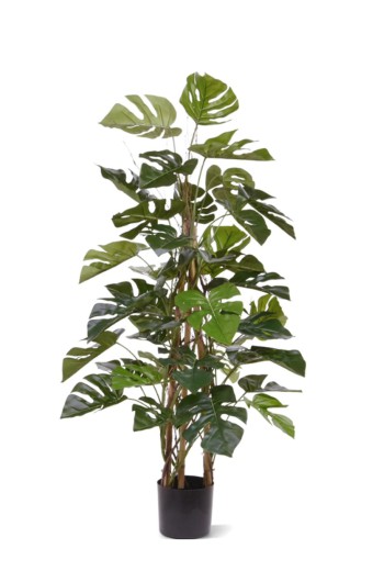Monstera kunstplant deluxe klimplant 120cm Monstera kunstplant deluxe klimplant 120cm