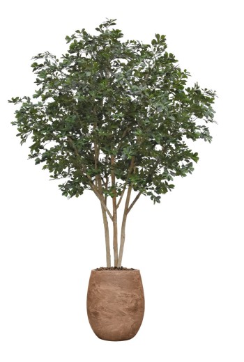 Oriental Olijf Kunstboom Deluxe 310cm Oriental Olijf Kunstboom Deluxe 310cm