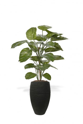kunst Pothos deluxe 115 cm kunst Pothos deluxe 115 cm