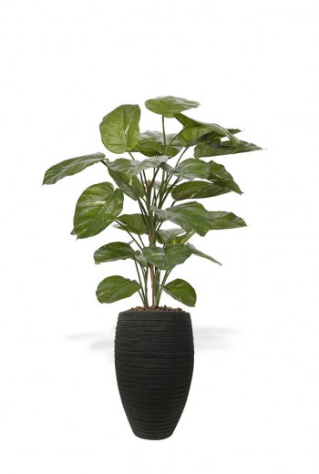 kunst Pothos deluxe  115 cm