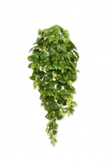 Kunstplant Scindapsus hangplant Kunstplant Scindapsus hangplant