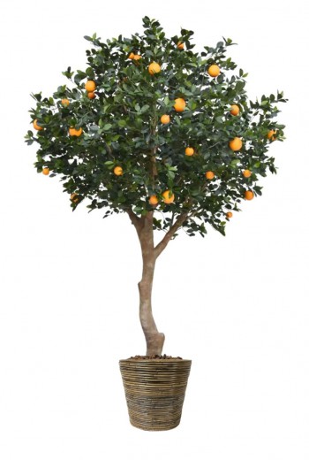 Sinaasappel deluxe Giant kunstboom 275cm Sinaasappel deluxe Giant kunstboom 275cm