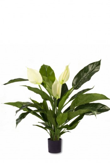 kunst Spathyllum de luxe 80cm kunst Spathyllum de luxe 80cm