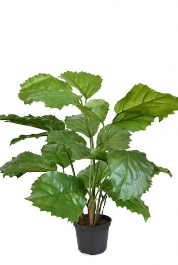 Tetrastigma kunstplant 40cm Tetrastigma kunstplant 40cm