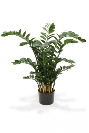 kunstplant Zamioculcas kunstplant Zamioculcas