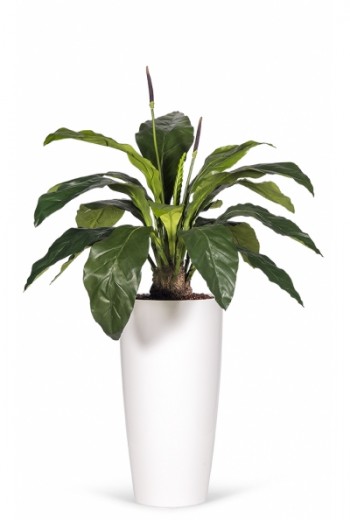 Kunstplant Anthurium Kunstplant Anthurium