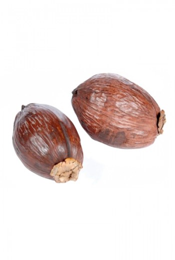 Kokosnoten Kokosnoten