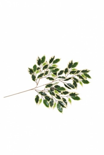 Kunstblad ficus bont Kunstblad ficus bont
