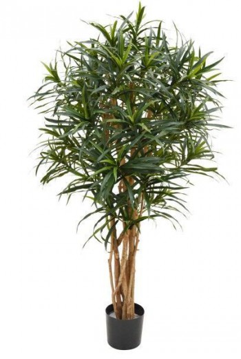 Draceana Relexa groen 150cm kunstplant