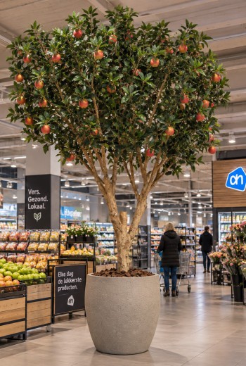 Kunst Appelboom Deluxe XL 280cm